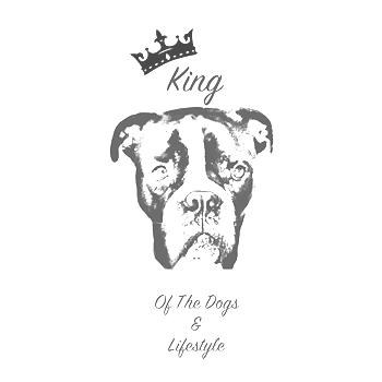 king of the dogs and style